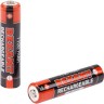 Аккумулятор REXANT Ni-MH AAA 1.2V 1100мАч (мизинчик) блистер 2 шт. 30-1411