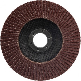 Круг лепестковый торцевой REXANT P 40 125х22.2 мм